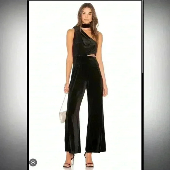 Lioness Pants - Lioness Velvet cutout jumpsuit NWT